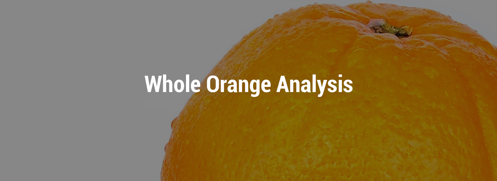 LVHS-whole-orange-header-1