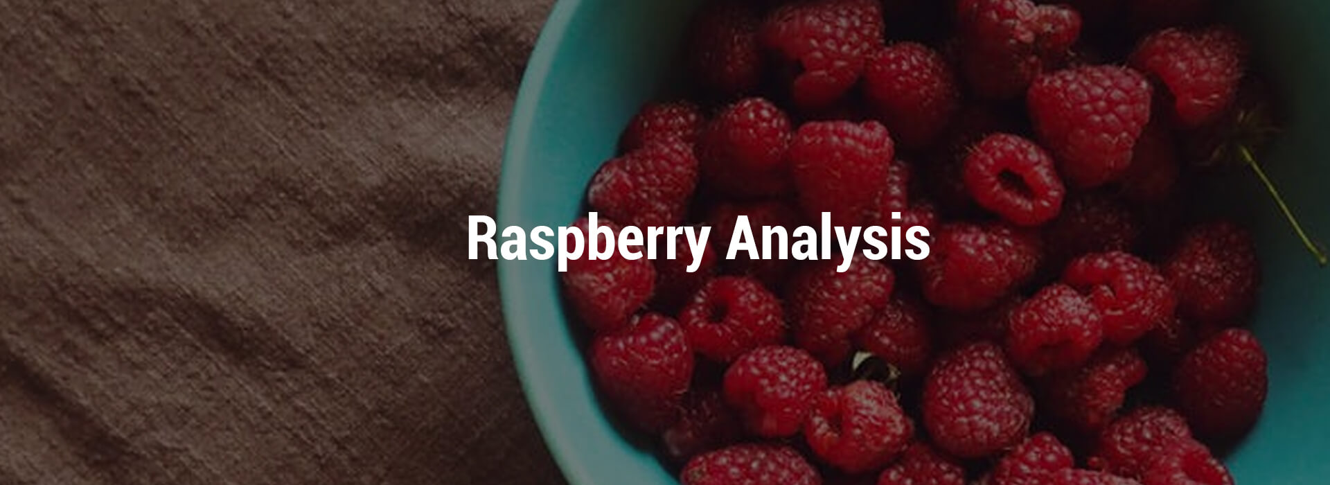 HS-raspberry-header