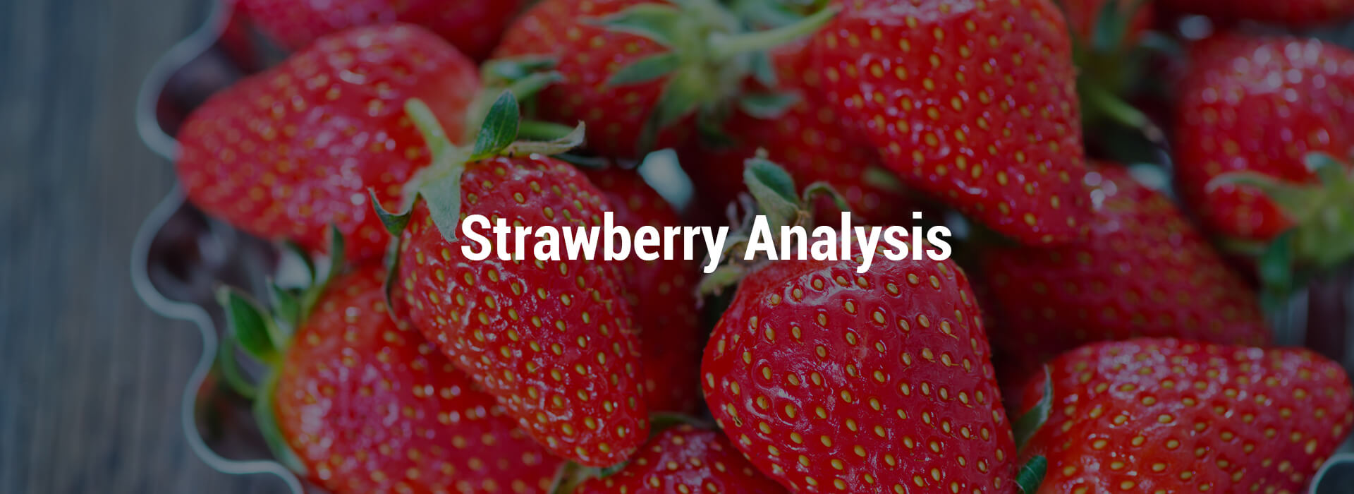 HS-strawberry-header