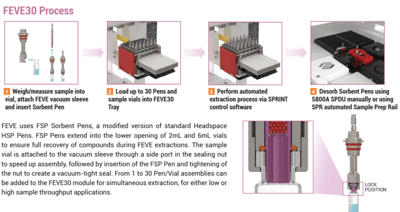 feve-process